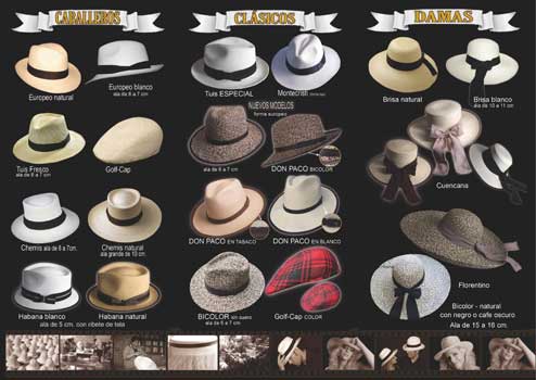 Un cartel que muestra diferentes tipos de sombreros.