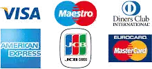 Verschiedene Kreditkartenlogos auf weißem Hintergrund.