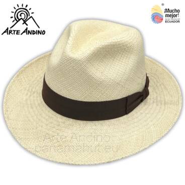 Un cappello Panama con una fascia marrone.